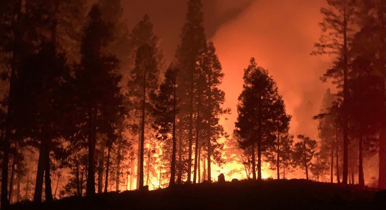 Contrecoup climatique : la qualité de l’air menacée par les canicules et feux de forêt